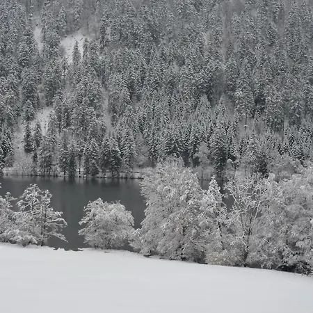 Chalet Chalet L'hirondelle *